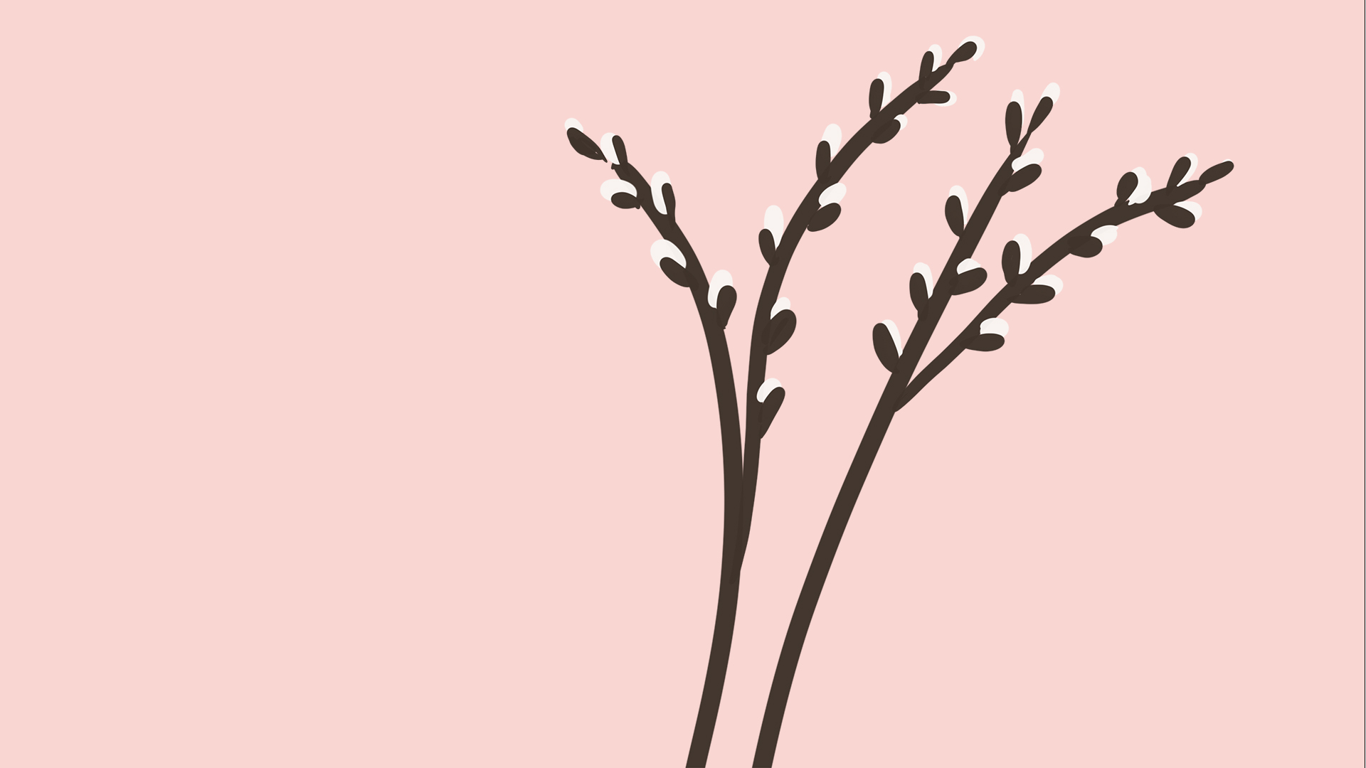 En illustration av en kvist med vide. Rosa bakgrund.