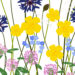 Illustrerade blommor